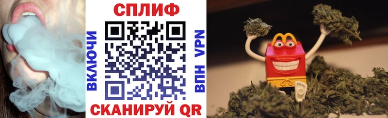 МЕФ Кингисепп